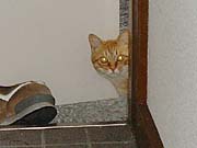 ��o���l�R