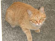 一歩前へ 一歩前へ