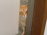 そしてまたのぞく そしてまたのぞく