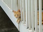 �x�����_�l�R