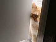 �܂��A���܂���