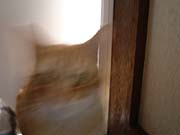 �����Ă����[�I