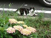 ������l�R�V��