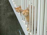 �x�����_��o����C