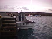 �Ί_�����电�ԓ��Ɍ������X�֑D