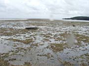 �݂���100m���炢��܂ŎX��ʂ̏������B����ɉ��܂ő����Ă���