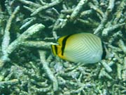 ����ȋ������܂���