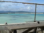 �C�̂������΂ɂ���}�C�g�E�[�̋x�e��