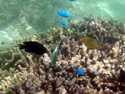 �X�����ɂ�����