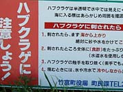 �n�u�N���Q�ɒ���