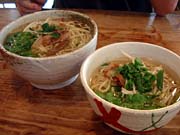 �|�̎q�̔��d�R����