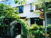 ����𑢂̖�