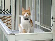 �ׂ̃A�p�[�g�̃x�����_