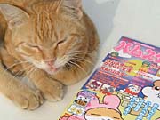 �Ԃ̏�ɂ����l�R�ɖ{����