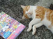 ���ւ̂Ƃ���Ŗ{����