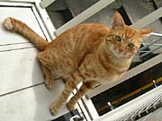 �x�����_�l�R2