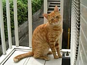 �x�����_�l�R3