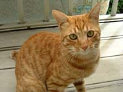 �x�����_�l�R4