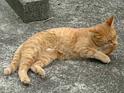 ���ԏ�l�R1