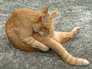 ���ԏ�l�R2