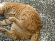 ���ԏ�l�R3