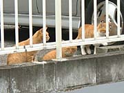 �l�R����