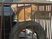 �^�C���̏�ɏ��