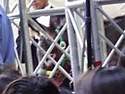 ���V�i���e�̖�